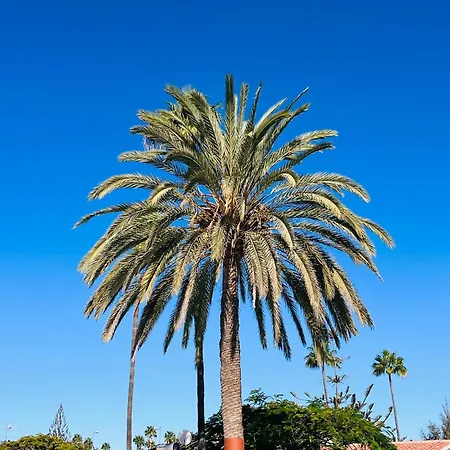 Santa Barbara Tropical By Alquiler De Sueno - 2 Private Terraces * Playa del Inglés