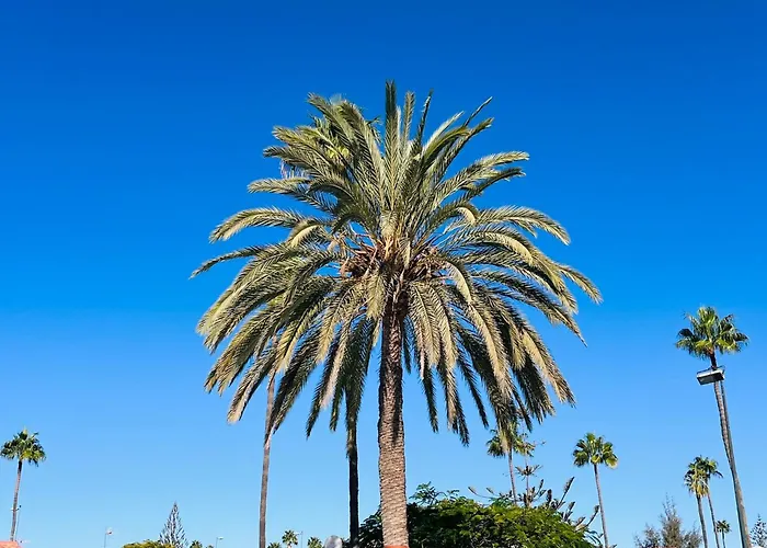 Santa Barbara Tropical By Alquiler De Sueno - 2 Private Terraces * Маспаломас